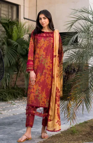 AL Zohaib Print'25 D#06