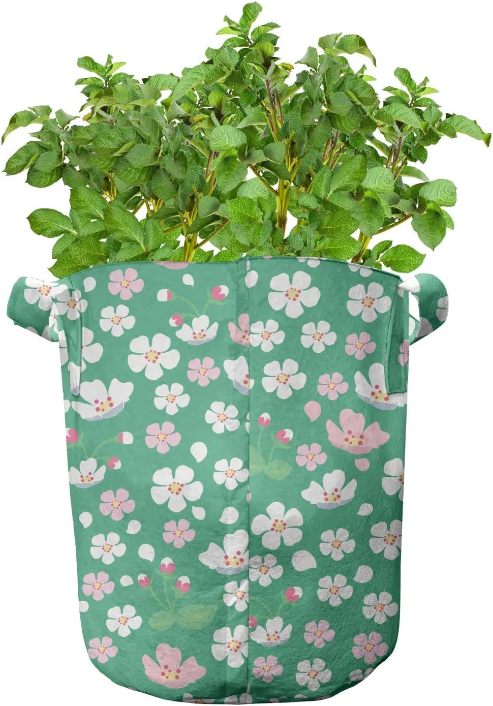 Ambesonne Cherry Blossom Grow Bags 5-Pack, Downward Sloping, Heavyduty Fabric Pots with Handles for Plants, 5 Gallon, Rose and Sea Green