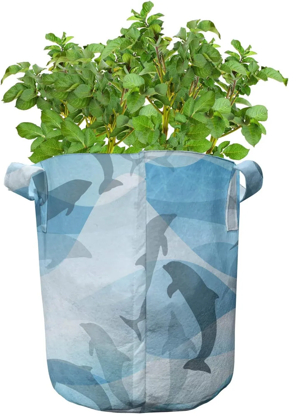 Ambesonne Dolphin Grow Bags 5-Pack, Underwater Fish Pattern, Heavyduty Fabric Pots with Handles for Plants, Blue Grey