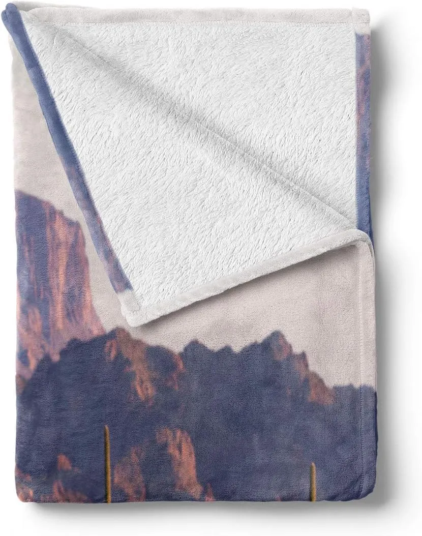 Ambesonne Saguaro Throw Blanket, Arizona Desert Landscape with Cactus Mountain in Spring Evening Wilderness Picture, Flannel Fleece Accent Piece Soft Couch Cover for Adults, 60" x 80", Brown Green