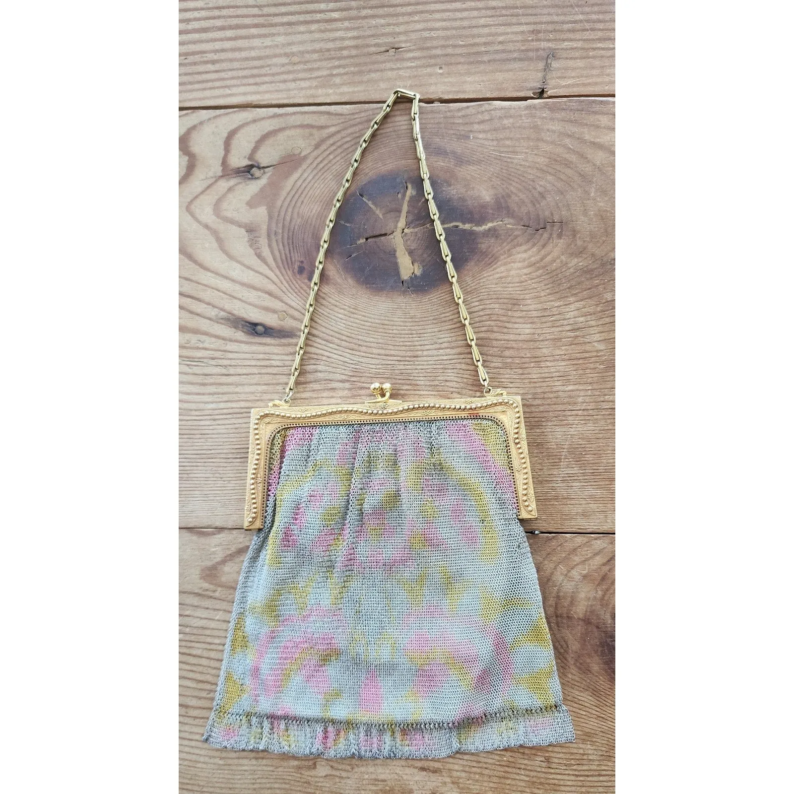 Antique Mesh Evening Bag 1900s 1910s Handpainted Watercolor Whiting Davis