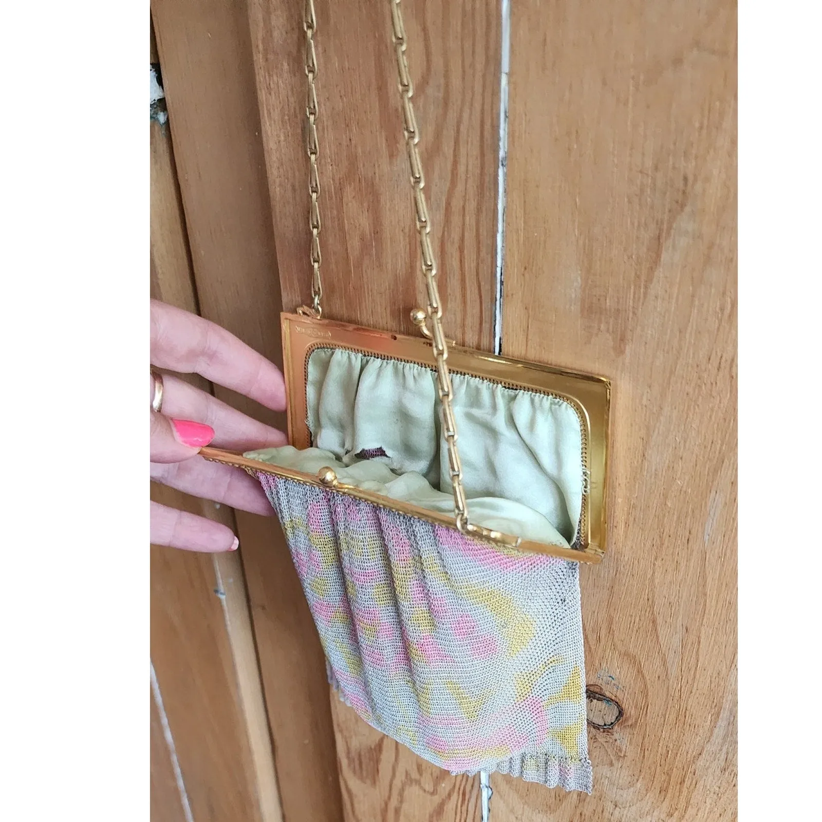 Antique Mesh Evening Bag 1900s 1910s Handpainted Watercolor Whiting Davis