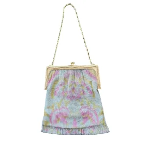 Antique Mesh Evening Bag 1900s 1910s Handpainted Watercolor Whiting Davis