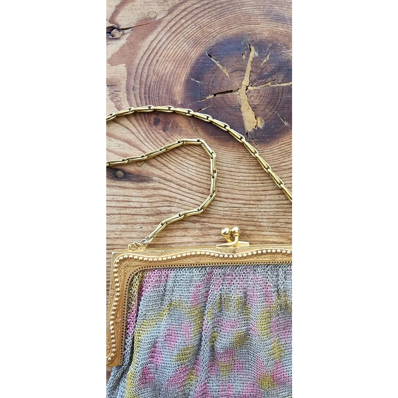 Antique Mesh Evening Bag 1900s 1910s Handpainted Watercolor Whiting Davis