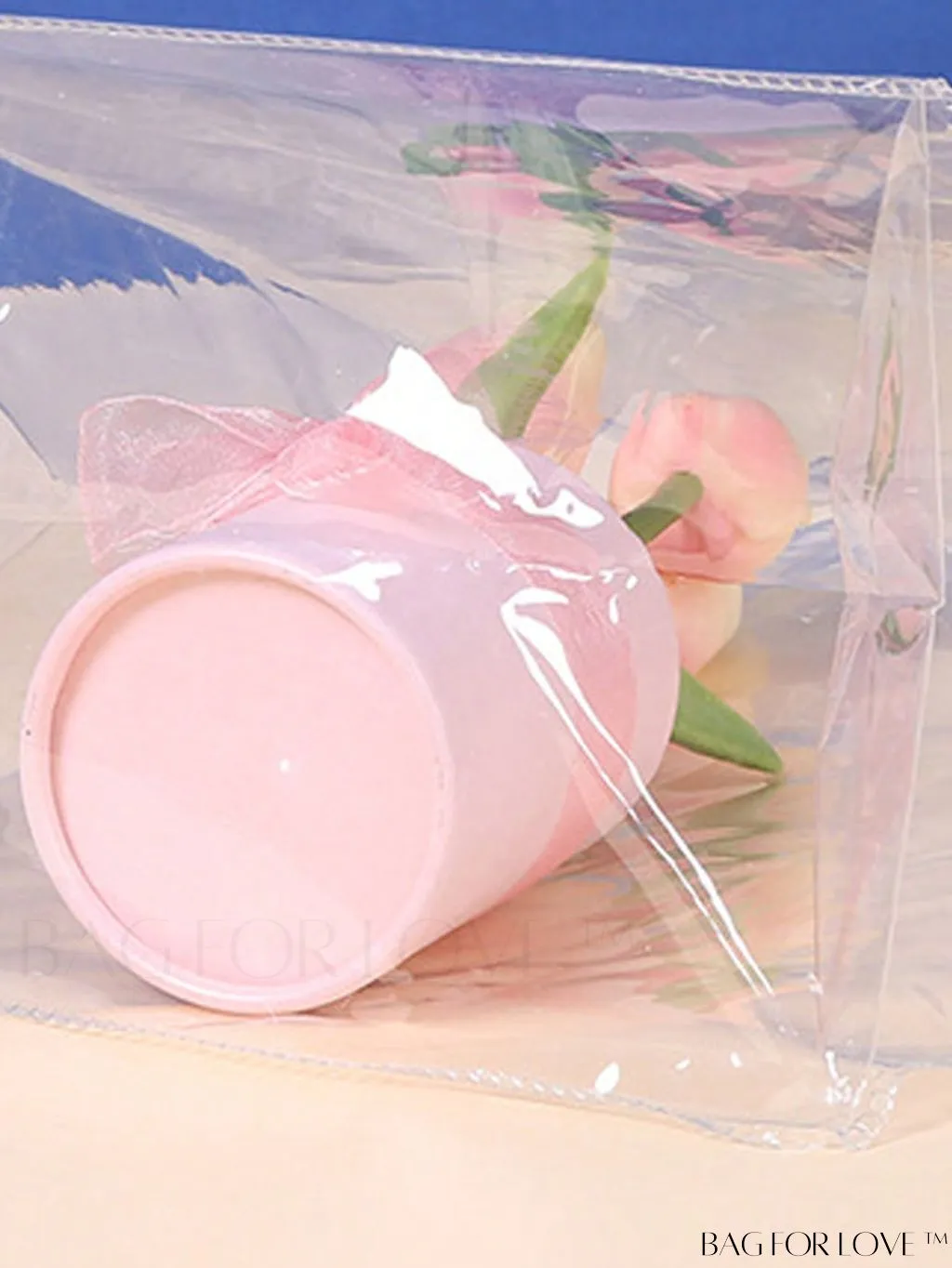 BagForLove - Double Handled Transparent Top Handle Bag