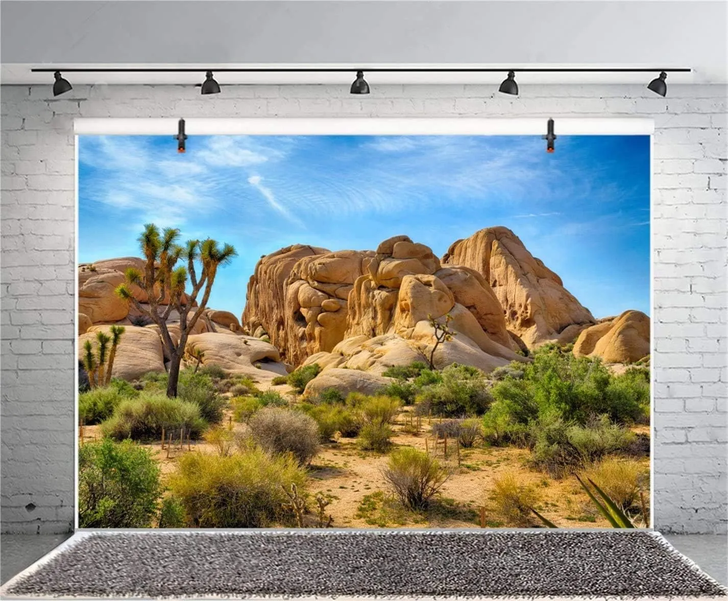 CSFOTO 10x7ft Joshua Tree National Park Backdrop Arid Barren Cactus Sandstone Rock Climate Mountain and Desert Scenery Backdrop Desert Terrarium Background