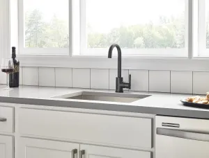 Danze by Gerber D150558 Parma 1.75 GPM Single Hole Bar Faucet