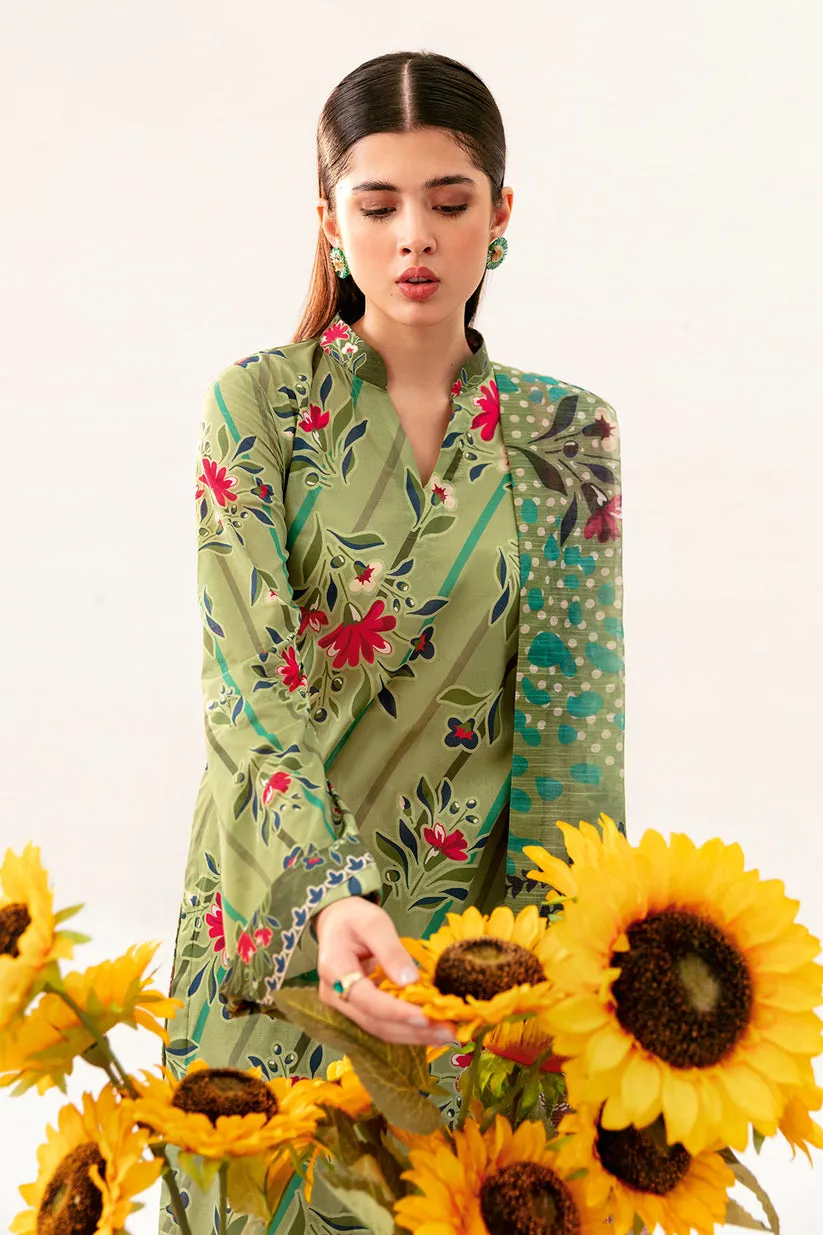 Forest green AP-06 | BASIC PRINTS | RAMSHA