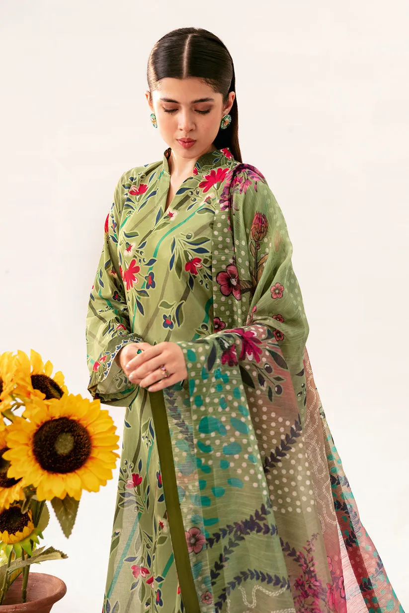 Forest green AP-06 | BASIC PRINTS | RAMSHA