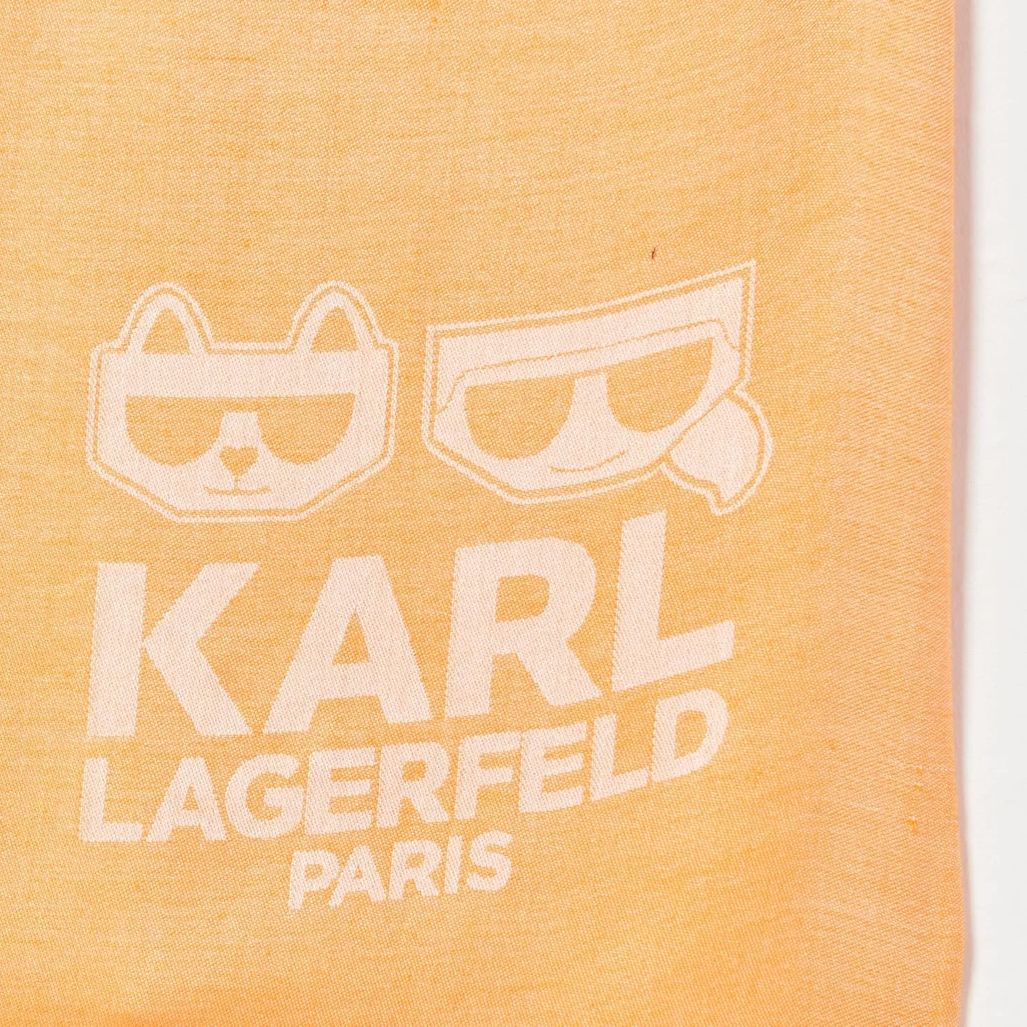 Karl Lagerfeld Paris womens Pashmina Essential Karl/Choupette Scarf