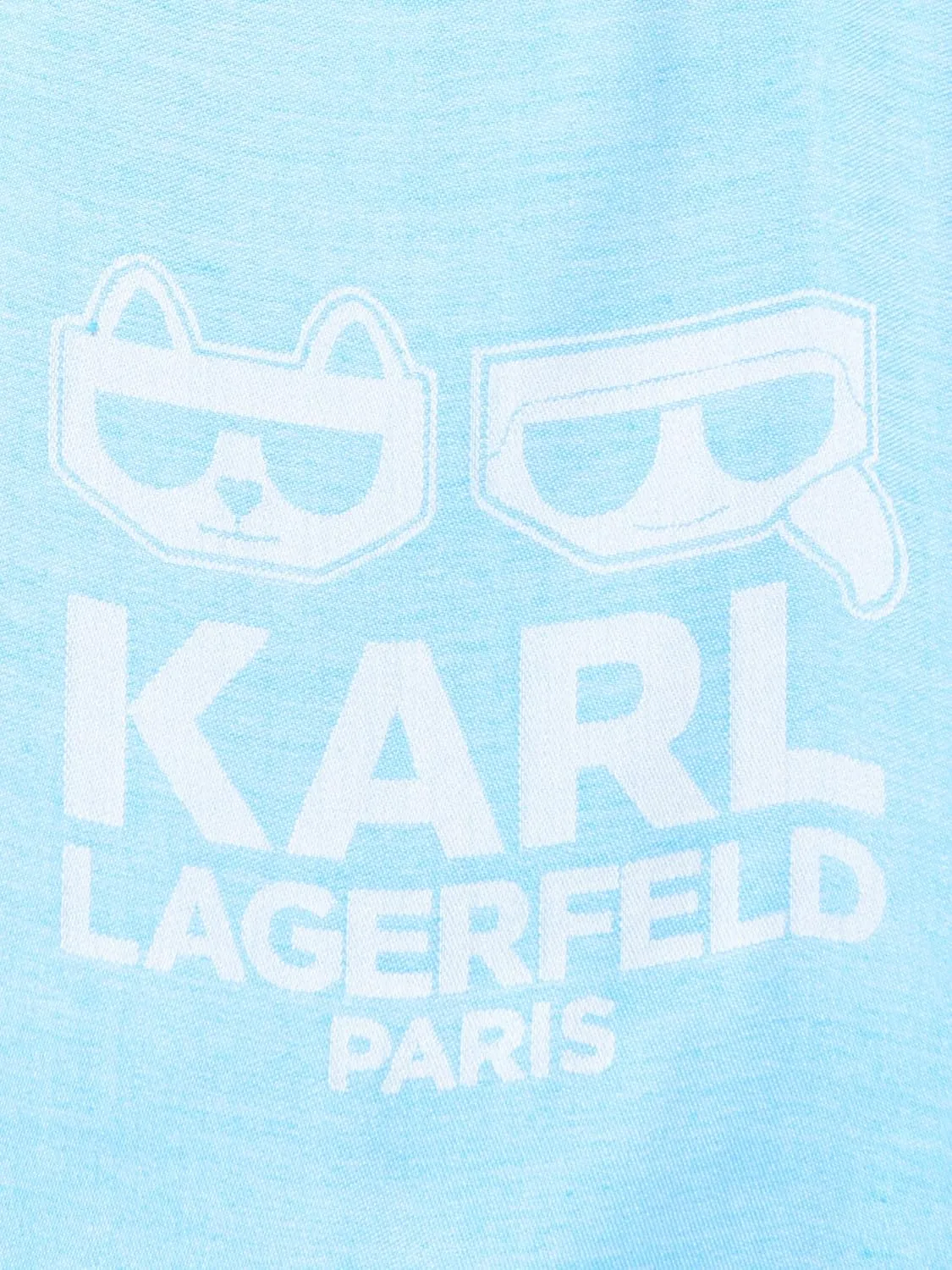 Karl Lagerfeld Paris womens Pashmina Essential Karl/Choupette Scarf