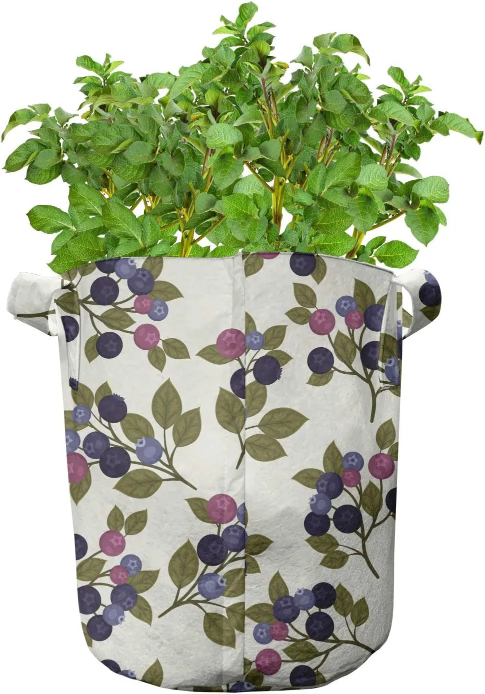 Lunarable Berries Grow Bags 5-Pack, Vintage Garden Branches, Heavyduty Fabric Pots with Handles for Plants, Ivory Purple