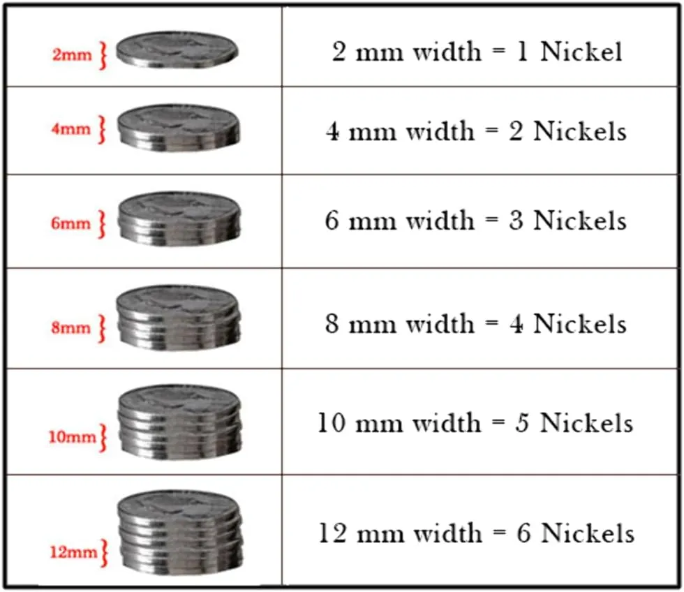 Mens PINELANDS Deer Print Animal Track Engraved Flat Tungsten Wedding Band - 4mm - 12mm Wide
