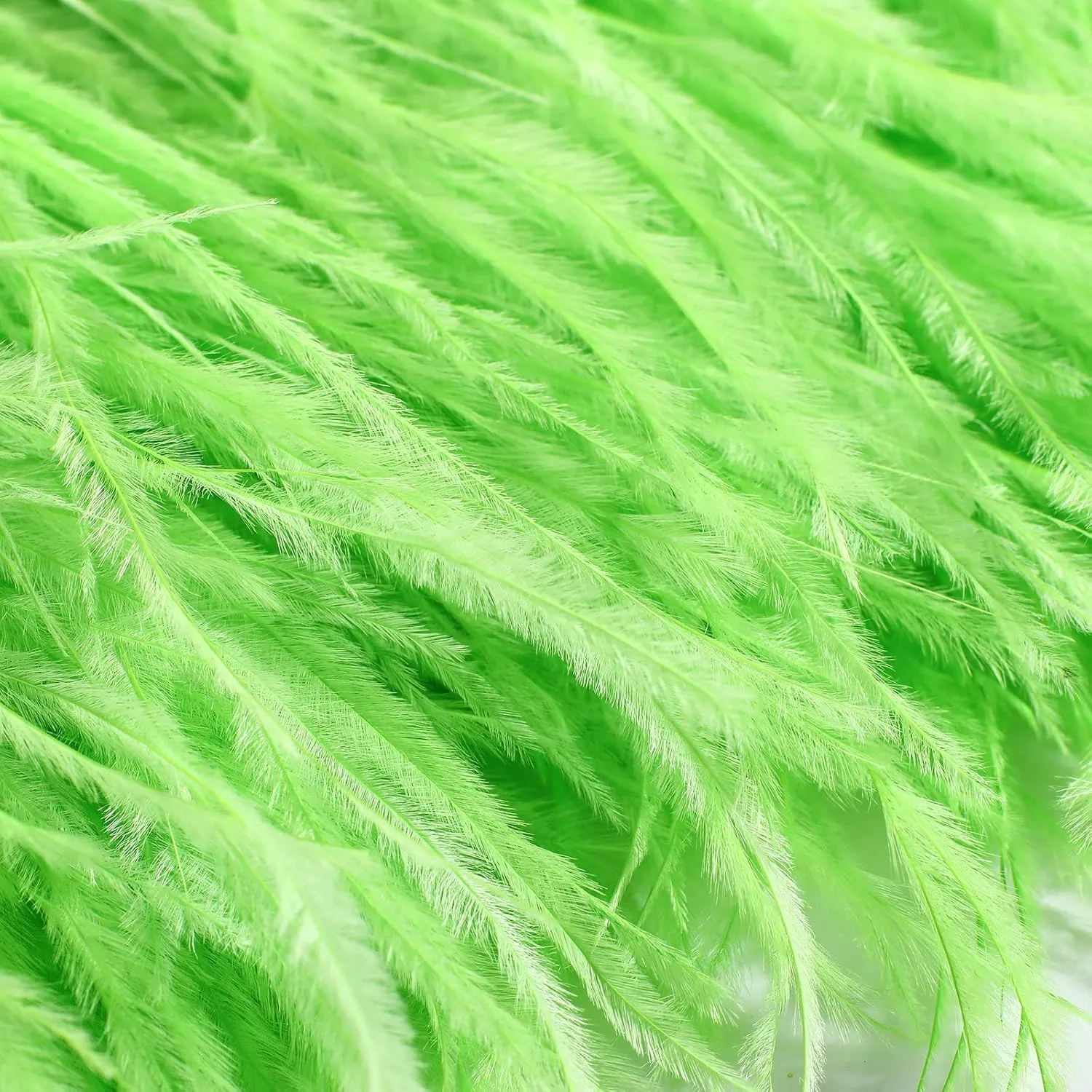 Natural Ostrich Feather Fringe Trim - Feathers Sewing Crafts Decor for Dress Costume 4-6 inches 2 Yards Erikord(Grass Green)