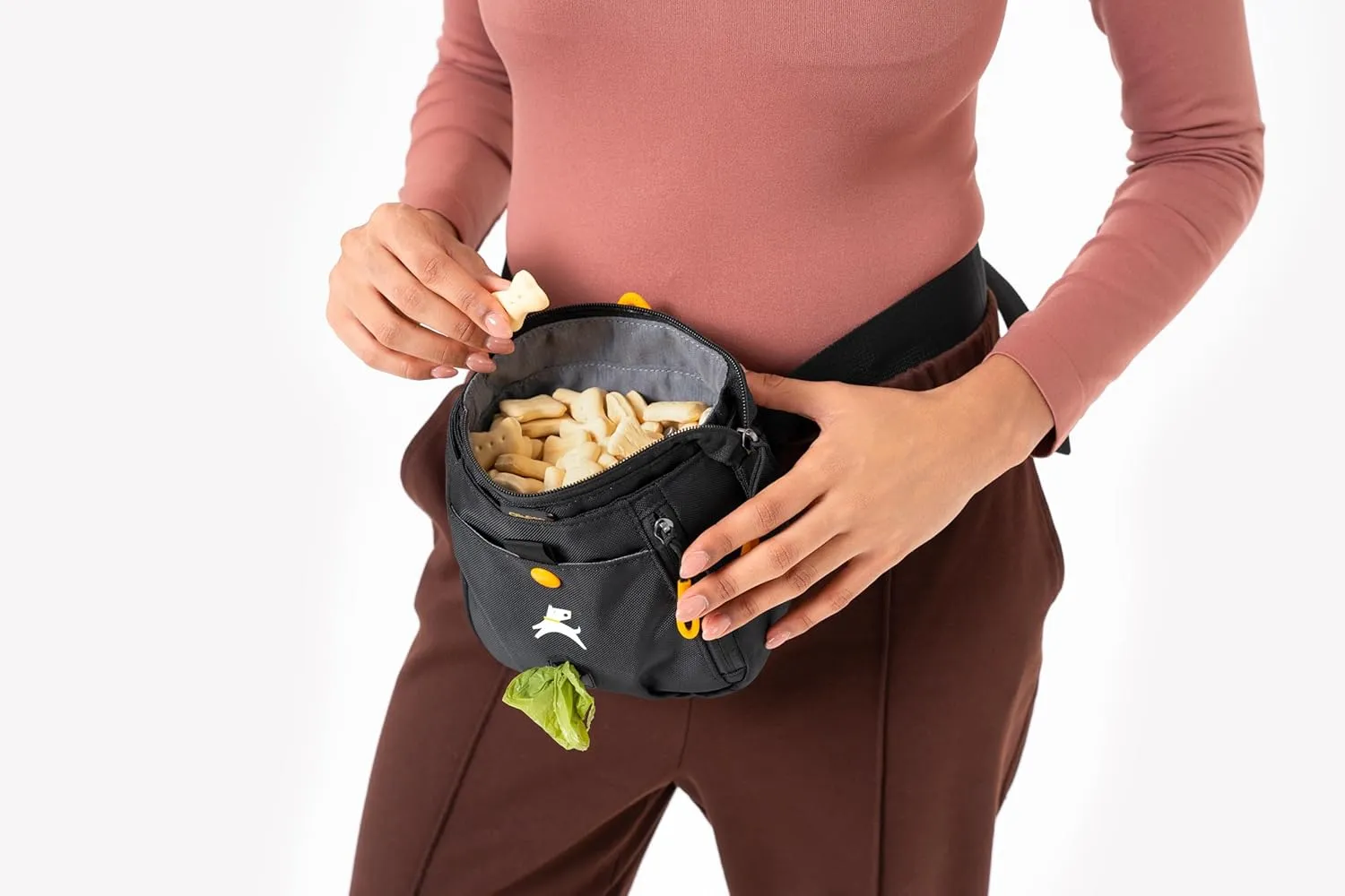 OllyDog Backcountry Day Bag | Hands-Free Dog Training Treat Pouch | Fanny/Hip Pack with Zipper Closure & Built-in Poop Bag Dispenser | Removable Waist Clip (Raven S'25)