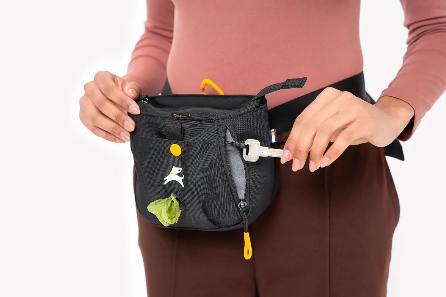 OllyDog Backcountry Day Bag | Hands-Free Dog Training Treat Pouch | Fanny/Hip Pack with Zipper Closure & Built-in Poop Bag Dispenser | Removable Waist Clip (Raven S'25)