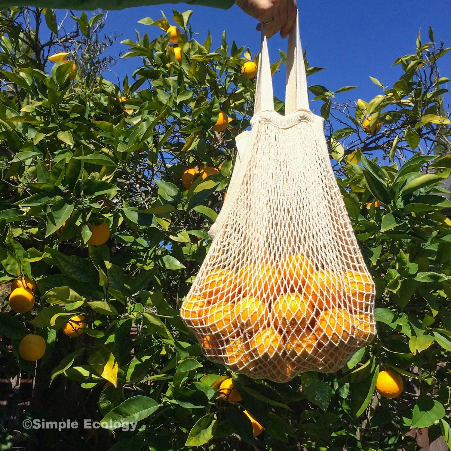 Organic Cotton Heavy Duty Double Handle String Bag