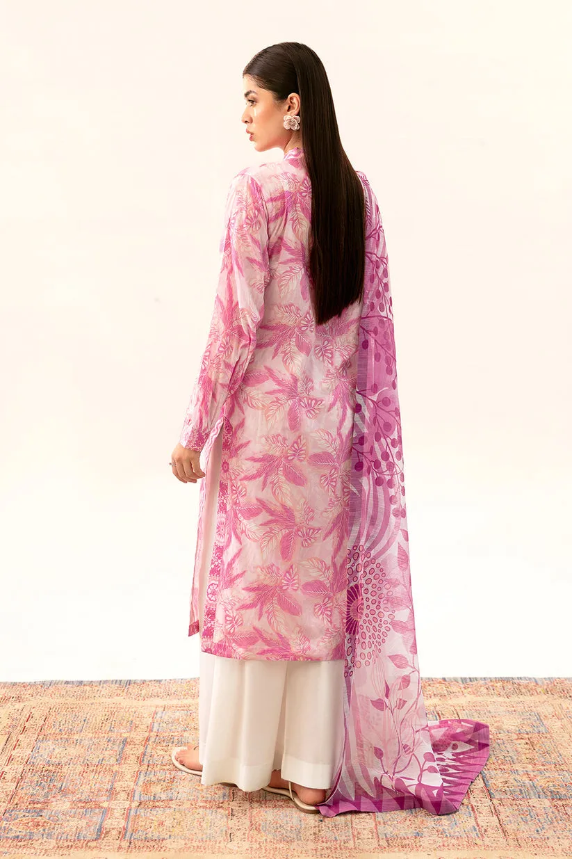 Roseate Blush AP-02 | BASIC PRINTS | RAMSHA