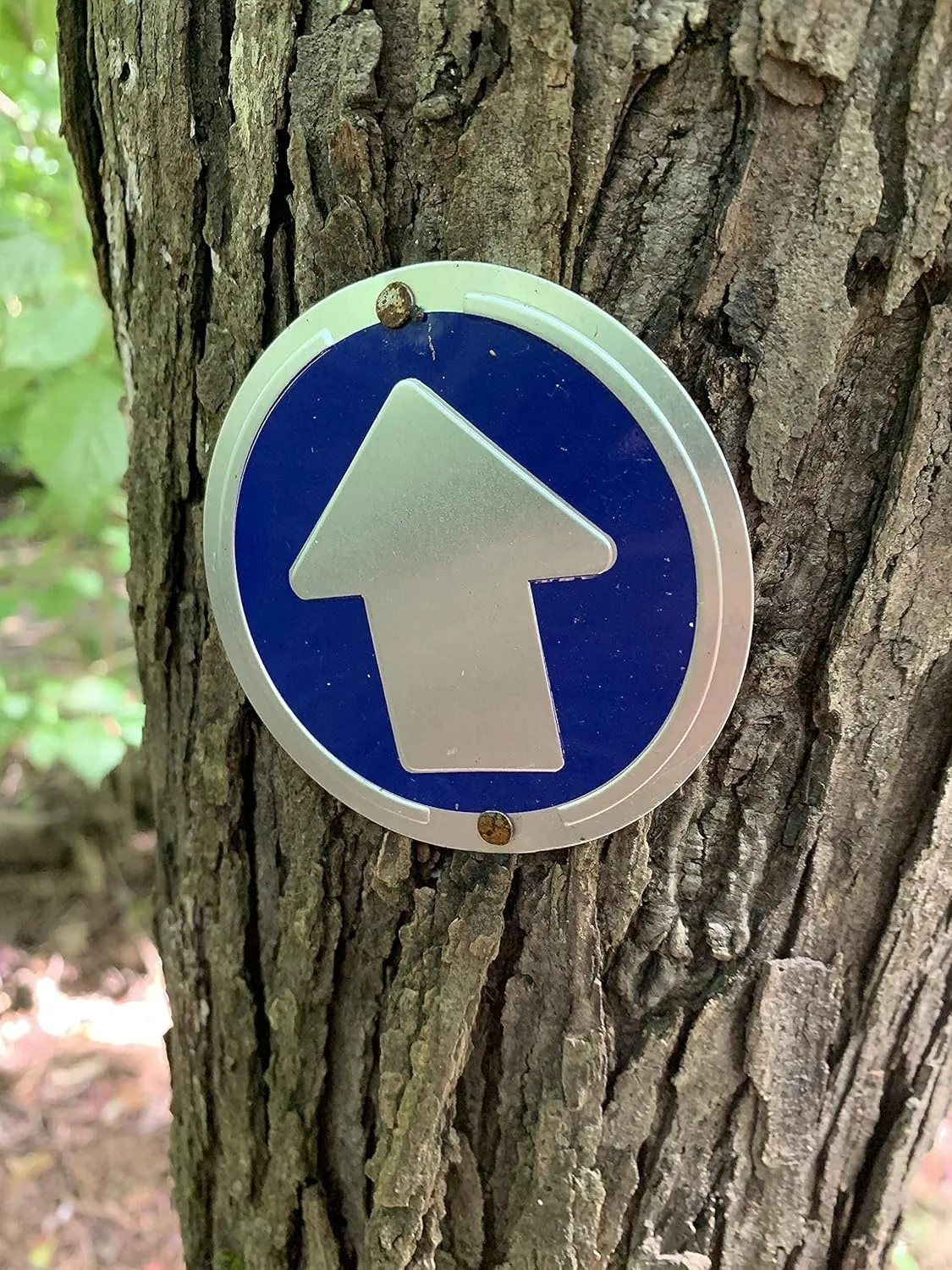 Trail Markers - Bright Reflective Trail Marker Pack of 24, Easy to Mount, Mark Your Trees for Hunting, Hiking, Camping, and More.