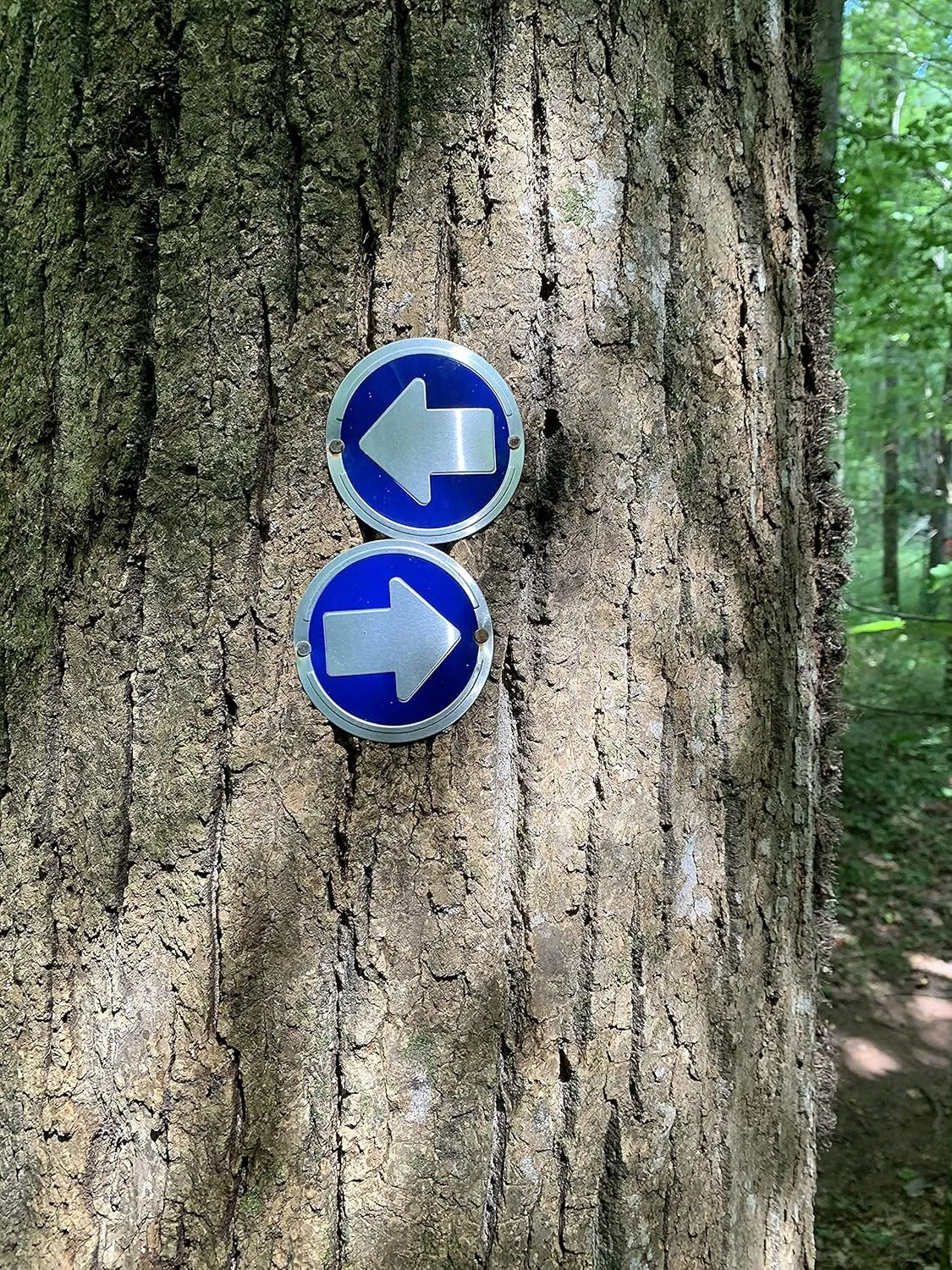 Trail Markers - Bright Reflective Trail Marker Pack of 24, Easy to Mount, Mark Your Trees for Hunting, Hiking, Camping, and More.