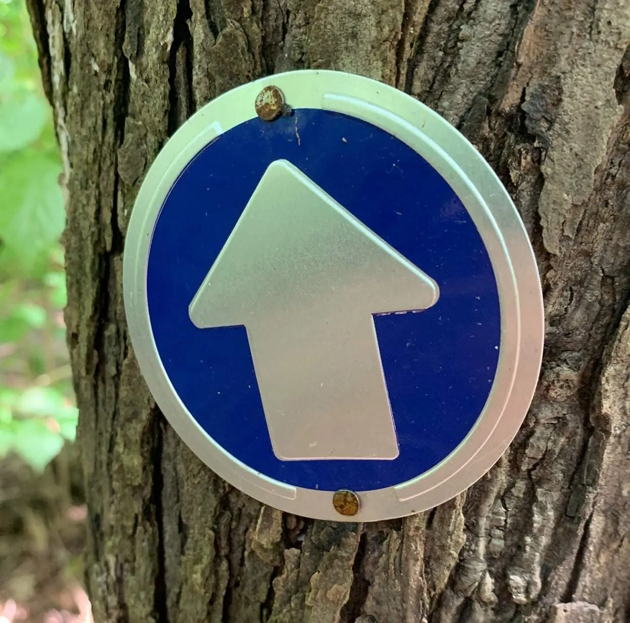 Trail Markers - Bright Reflective Trail Marker Pack of 24, Easy to Mount, Mark Your Trees for Hunting, Hiking, Camping, and More.