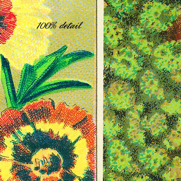 Vintage Seed Packets, Volume 02