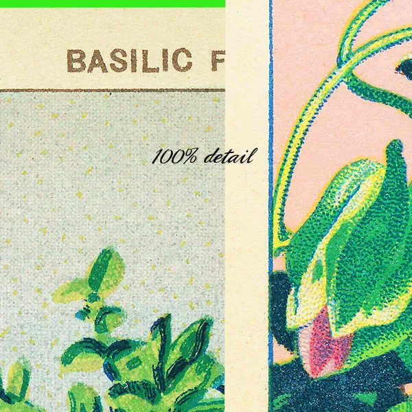 Vintage Seed Packets, Volume 02
